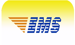 Logo EMS