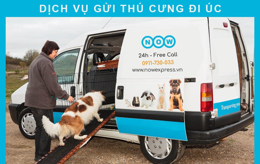 dich-vu-gui-thu-cung-tu-viet-nam-di-uc