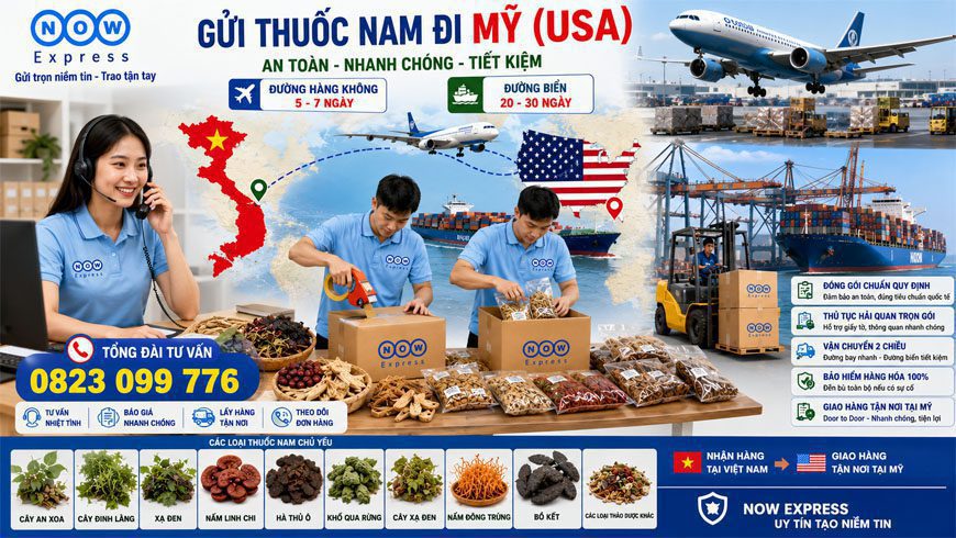 dich-vu-gui-thuoc-nam-di-my