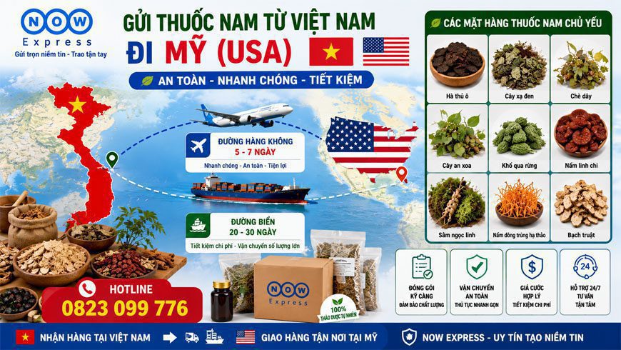 gui-thuoc-bac-thuoc-nam-thuoc-dong-y-di-my-2